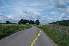 Photo A2 Wrapped silage bales