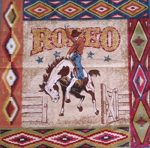 Vintage rodeo - #2,