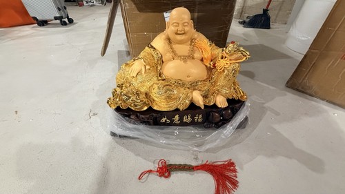 Chinese feng shui lucky gold - shui,