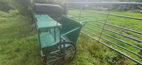 Used pony exercise cart - pony,