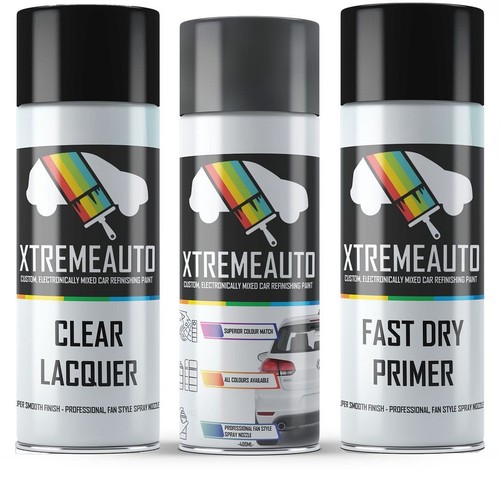 Aerosol spray paint for - paint, vw