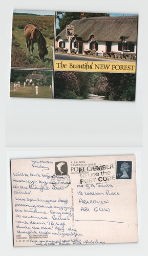 Postcard the beautiful new - postcard,