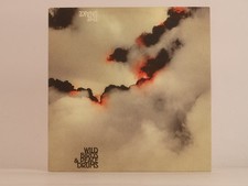 WILD BIRDS AND PEACE DRUMS THE SNAKE (48) 10 Track Promo CD Album including Card