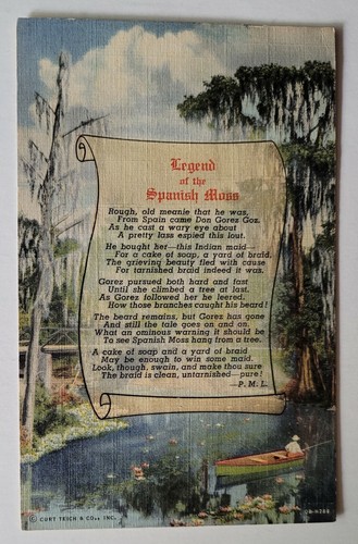Florida spanish moss - moss, legend