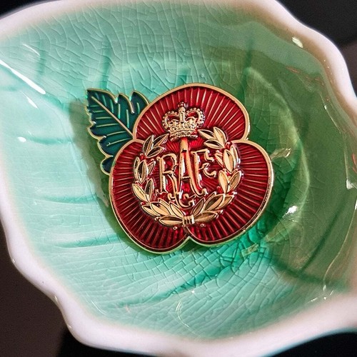Poppy lapel badge with - poppy,