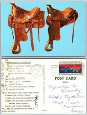 Arabian Saddle Display