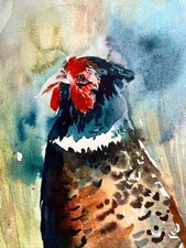 Original Pheasant Watercolour