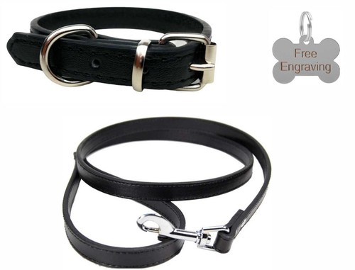 Vibrant leather dog collar - leather, &