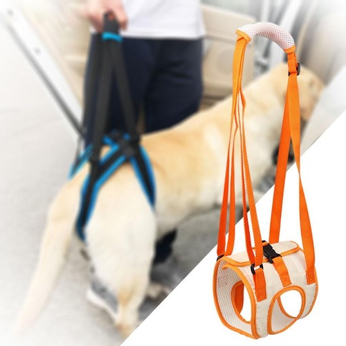 Dog lifting harness rear - lifting, legs