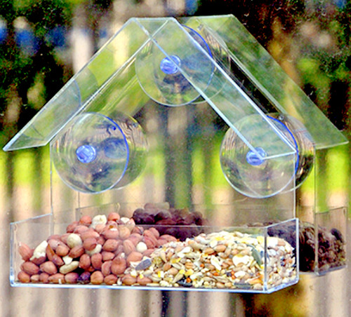 Window feeder garden wild - window,
