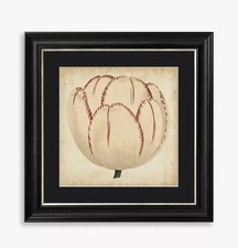 Pop Floral II Framed Art Print & Mount 56 x 56cm - Black/White {Marked Back}