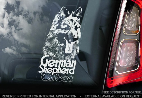 German shepherd car - shepherd,