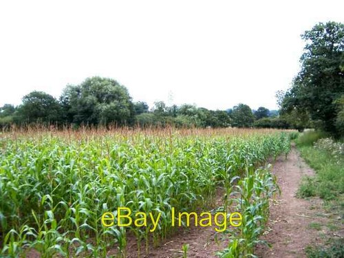 Photo 6x4 tushingham - tushingham,