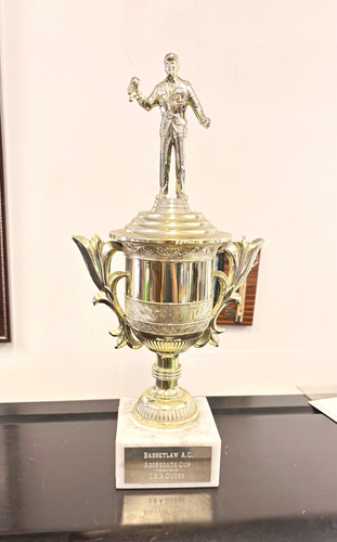 Cricket trophy cup silver - cup,