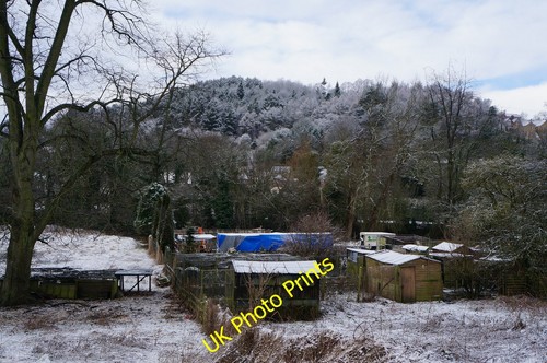Photo 12x8 smallholdings off - photo,