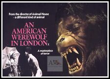 An American Werewolf In