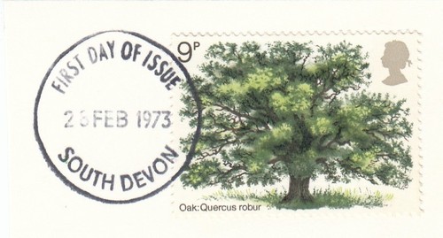 Oak tree used south devon - oak,