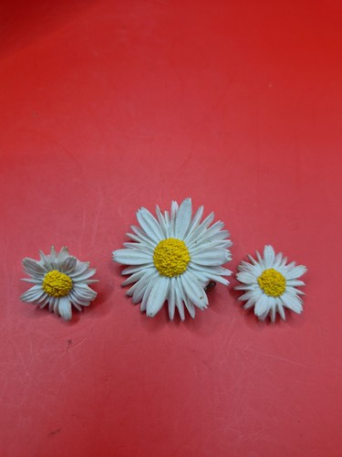 Ladies daisy earring and - ladies,