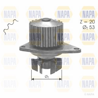 Napa water pump - napa, for