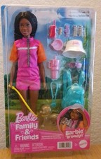 Barbie Family & Friends Barbie
