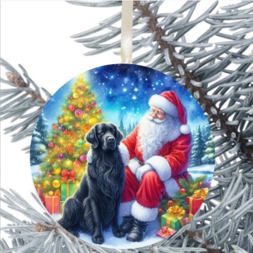 Flat coated retriever dog - coated,