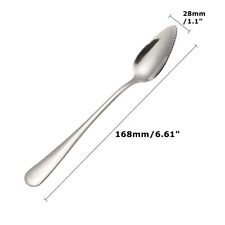 1/2Pcs Grapefruit Spoons Stainless Steel Spoons with Spikes Dessert Spoon Baby