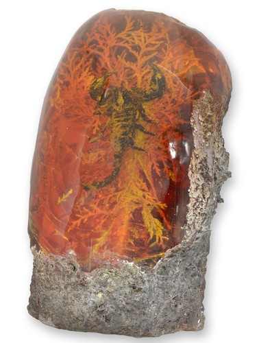 Scorpion artificial amber - a,