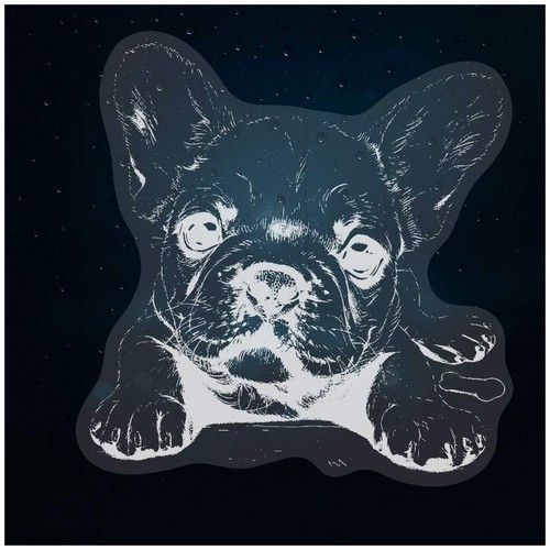 French bulldog pup - pup, &