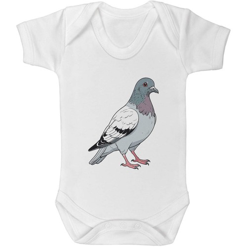 Racing pigeon baby grows - baby, /