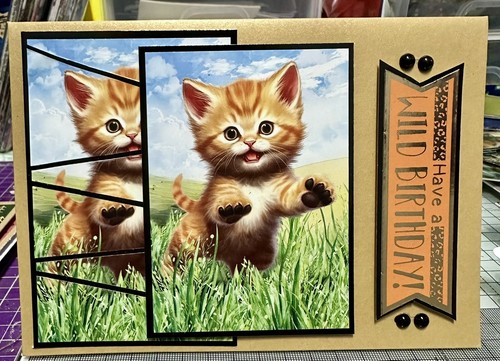 Handmade birthday card 5x7 - birthday,
