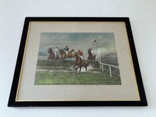 Grand national horse - horse, racing