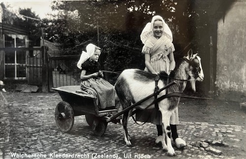 Child riding goat - riding, pulled