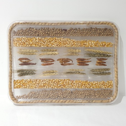 Vintage plastic serving tray - serving,