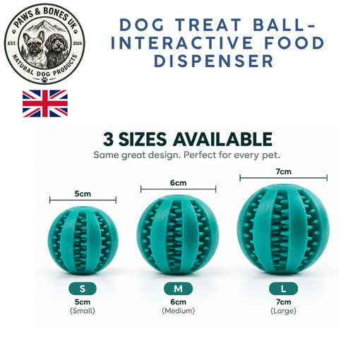 Interactive dog dental - dental, treat