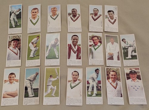 Carrs cricketers large - carrs,