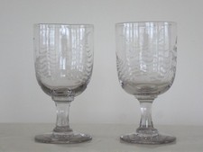 Nice Pair of Victorian Fern Etched Rummers
