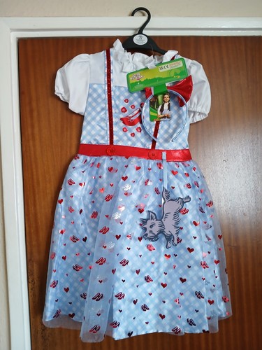 Wizard dorothy costume - wizard, oz