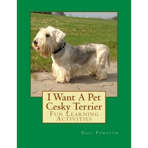 Want pet cesky terrier - want,