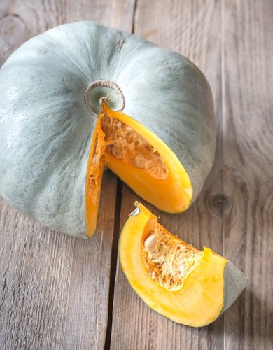 Squash seeds huge selection - squash,