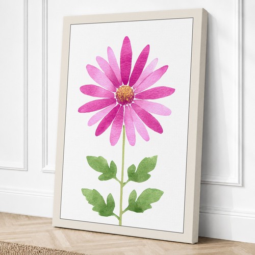 Pink daisy study - study, botanical
