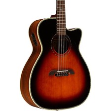 Alvarez Yairi WY1 Cutaway