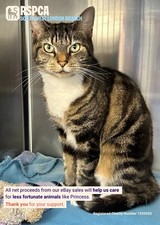 PRINCESS & BROTHER WERE ABANDONED BUT RSPCA WIMBLEDON WILL GIVE THEM A NEW START