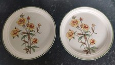 Pair Arklow Honey Stone South Quay Made In Ireland 10.5" Dinner Plates