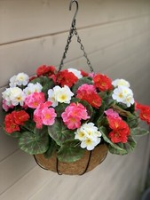 Realistic Geraniums Garden