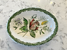 Vintage Royal Crownford Staffordshire England Oval Soap Dish White Green Floral