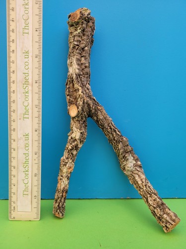 Cork bark branch 24cm - 24cm, snake