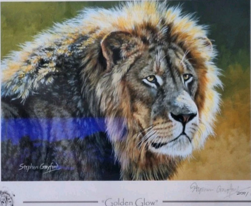 Stephen gayford 2012 signed - stephen, gayford,