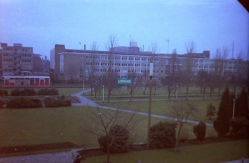 Hull memory lane queens - hull,