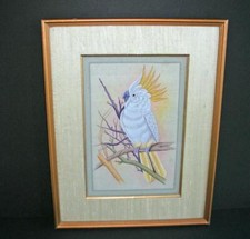 Old painting on silk -- white cockatoo  Tropical bird - framed