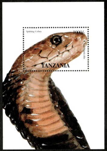 Tanzania 1995 snakes - tanzania,
